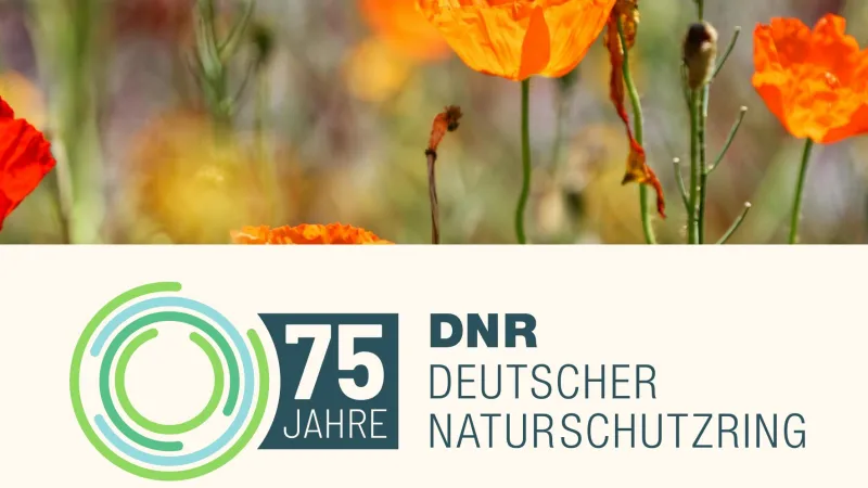 https://backend.dnr.de/sites/default/files/styles/crop_16_9/public/2025-06/75jahrednr-sharepic_01bearb.jpg.webp?itok=PzAIU2Fm